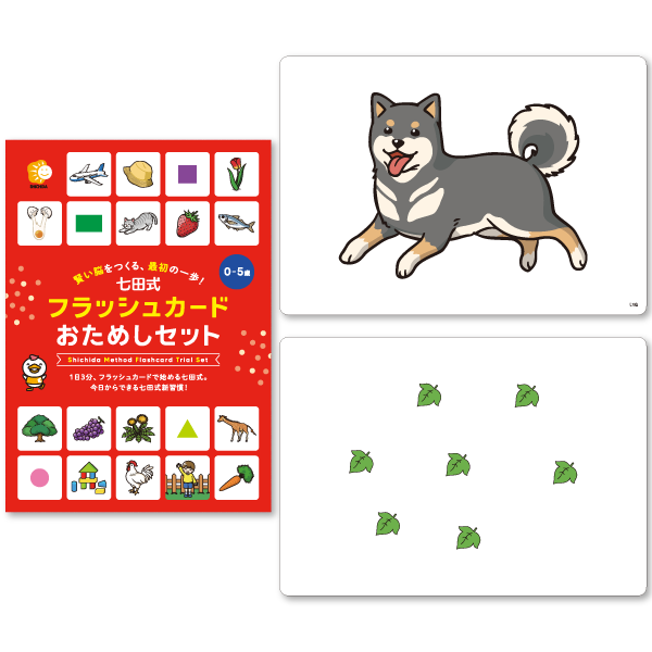 七田式フラッシュカードおためしセット