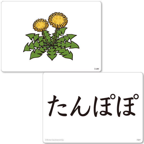 七田式フラッシュカードおためしセット