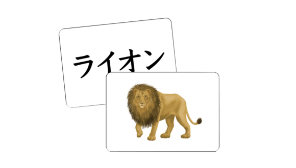 片面フラッシュ