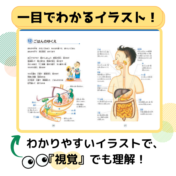 【テキストのみ】理科ソング生物編