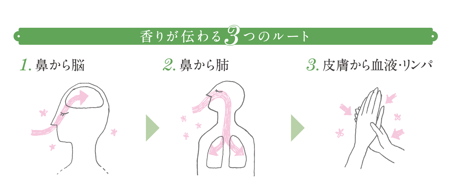 香りが伝わる3つのルート