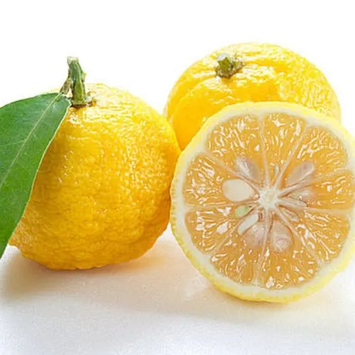 おふくろスムージー みかんと柚子