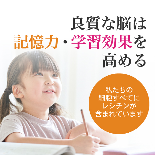 レシチン・サンフラワーパウダー 2個セット