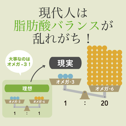 特別価格有機アマニ油（2本）