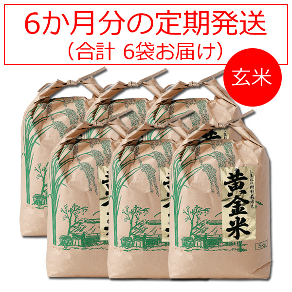 しまねの特別栽培米 黄金米 玄米の会【一括発送】