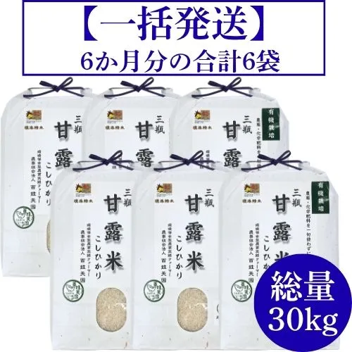 三瓶甘露米こしひかり白米の会（6か月一括発送）
