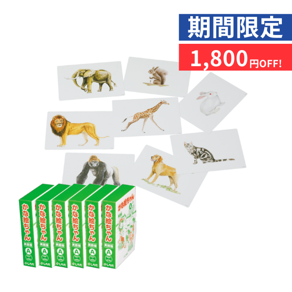 【特別価格】かな絵ちゃんカードＡ(英語版)