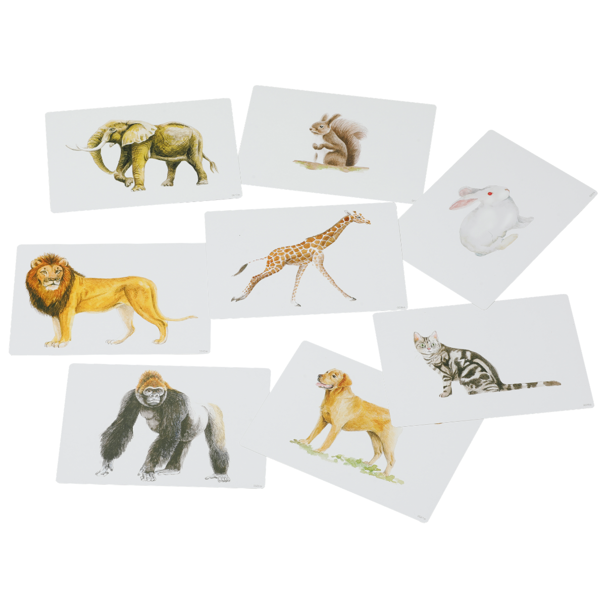 【特別価格】かな絵ちゃん英語セット