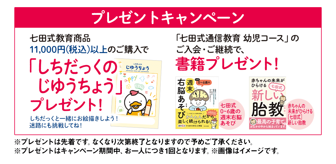 七田式〇取り組みガイド1歳3ヶ月〜2歳10ヶ月分 七田式〇取り組みガイド1歳3ヶ月〜2歳10ヶ月分