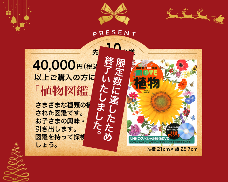 クリスマスプレゼントキャンペーン｜七田式オフィシャルストア