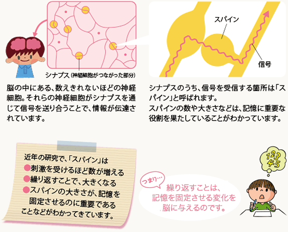 POPキッズ(ポップキッズ)【幼児向け教材】| 七田式公式通販 POPキッズ(ポップキッズ)【幼児向け教材】| 七田式公式通販