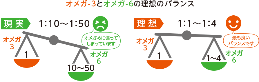 オメガ-3とオメガ-6の理想的なバランス