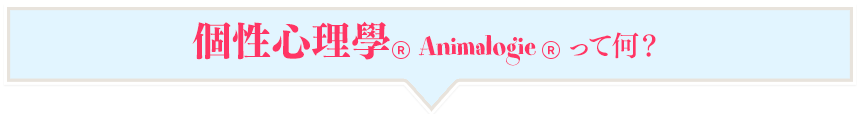 個性心理學はこんな方にオススメ!