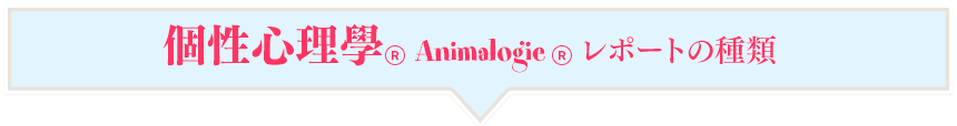 個性心理學レポートの種類