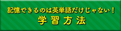 記憶できるのは英単語だけじゃない!学習方法