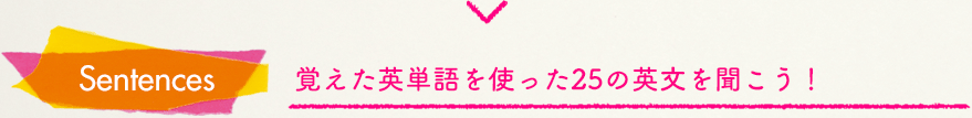 覚えた英単語を使った25の英文を聞こう!