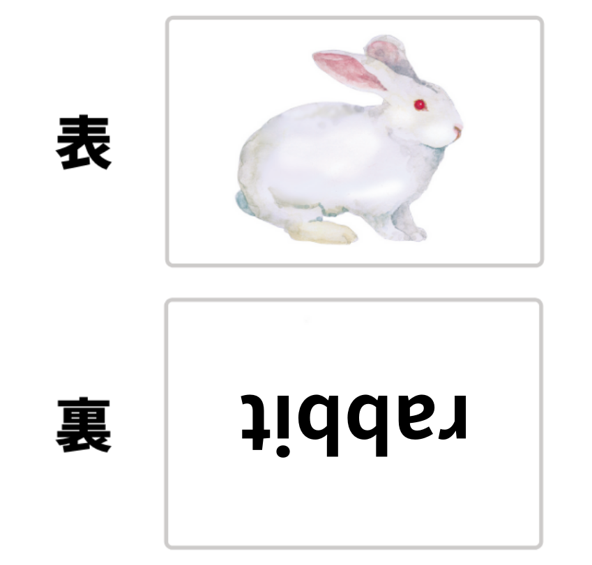 カードのサンプル画像