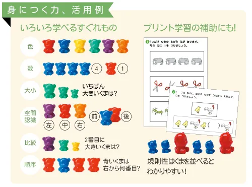 くまのひもとおし