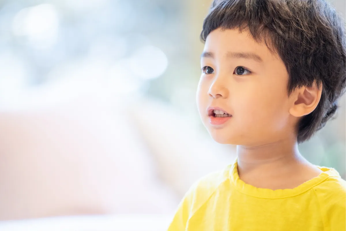 フラッシュカード