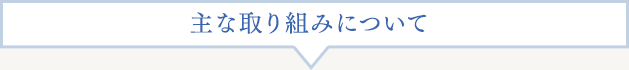 主な取り組みについて