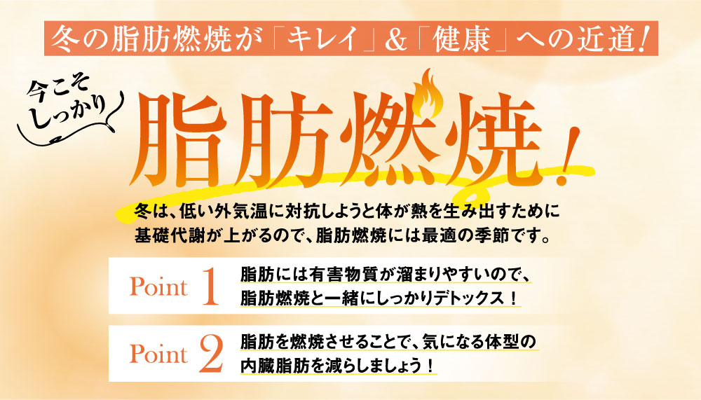 脂肪燃焼トップ