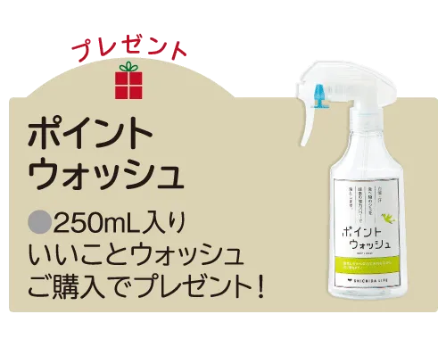 ポイントウォッシュプレゼント