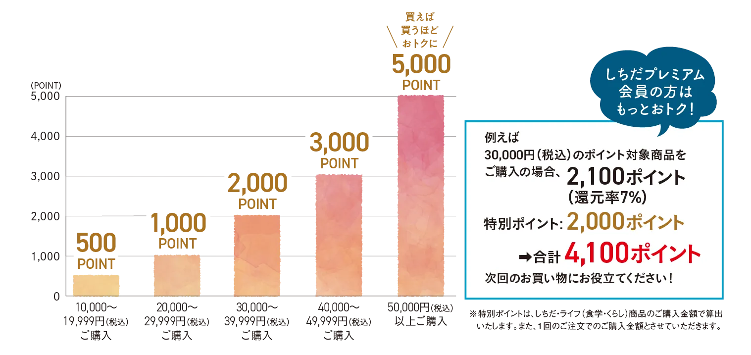 2026summerCollection pointpresent