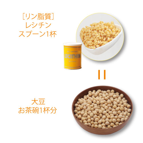 レシチン大豆