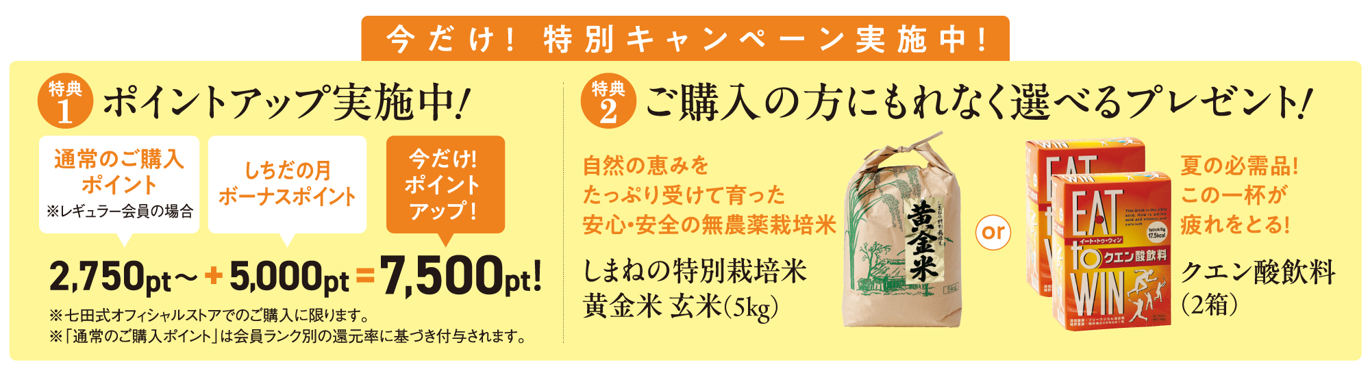 トップ