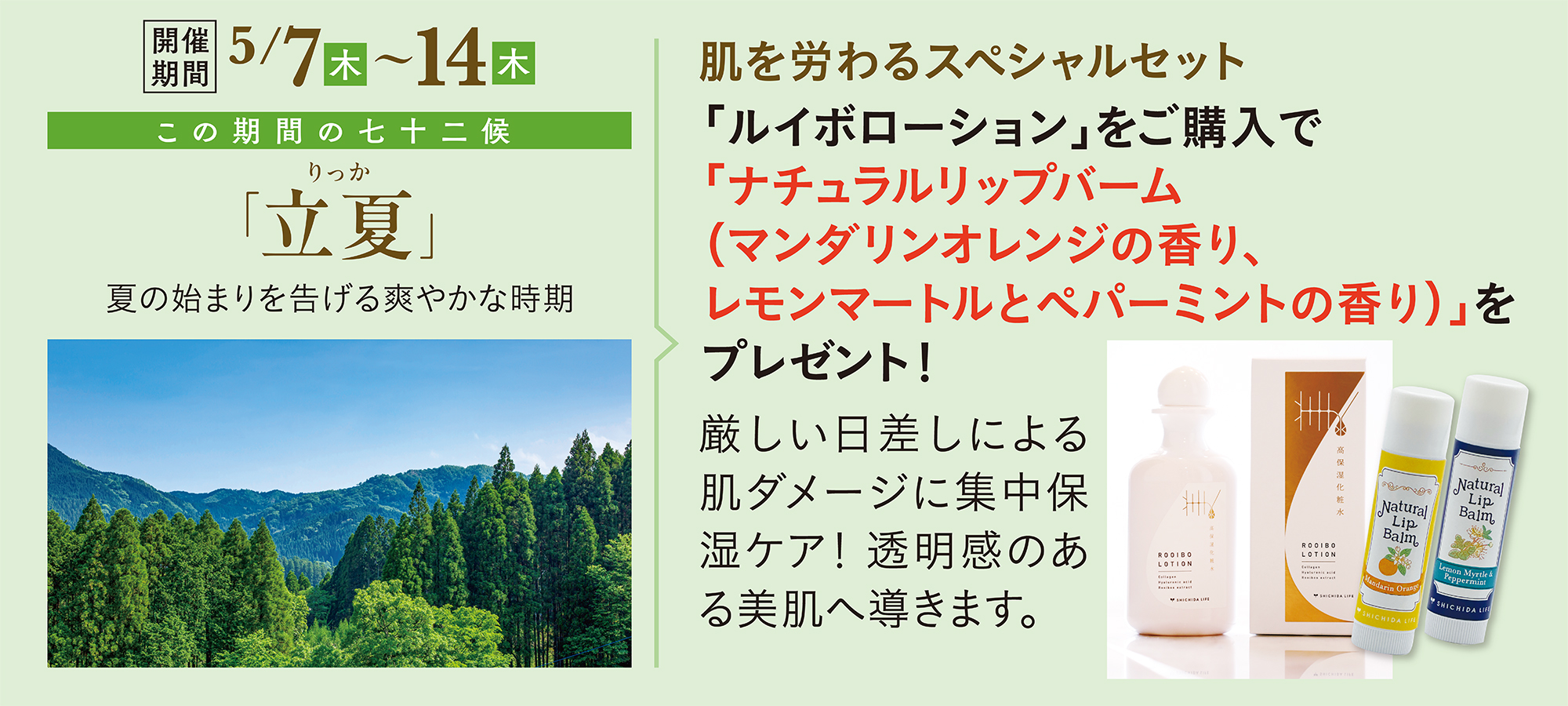 立夏