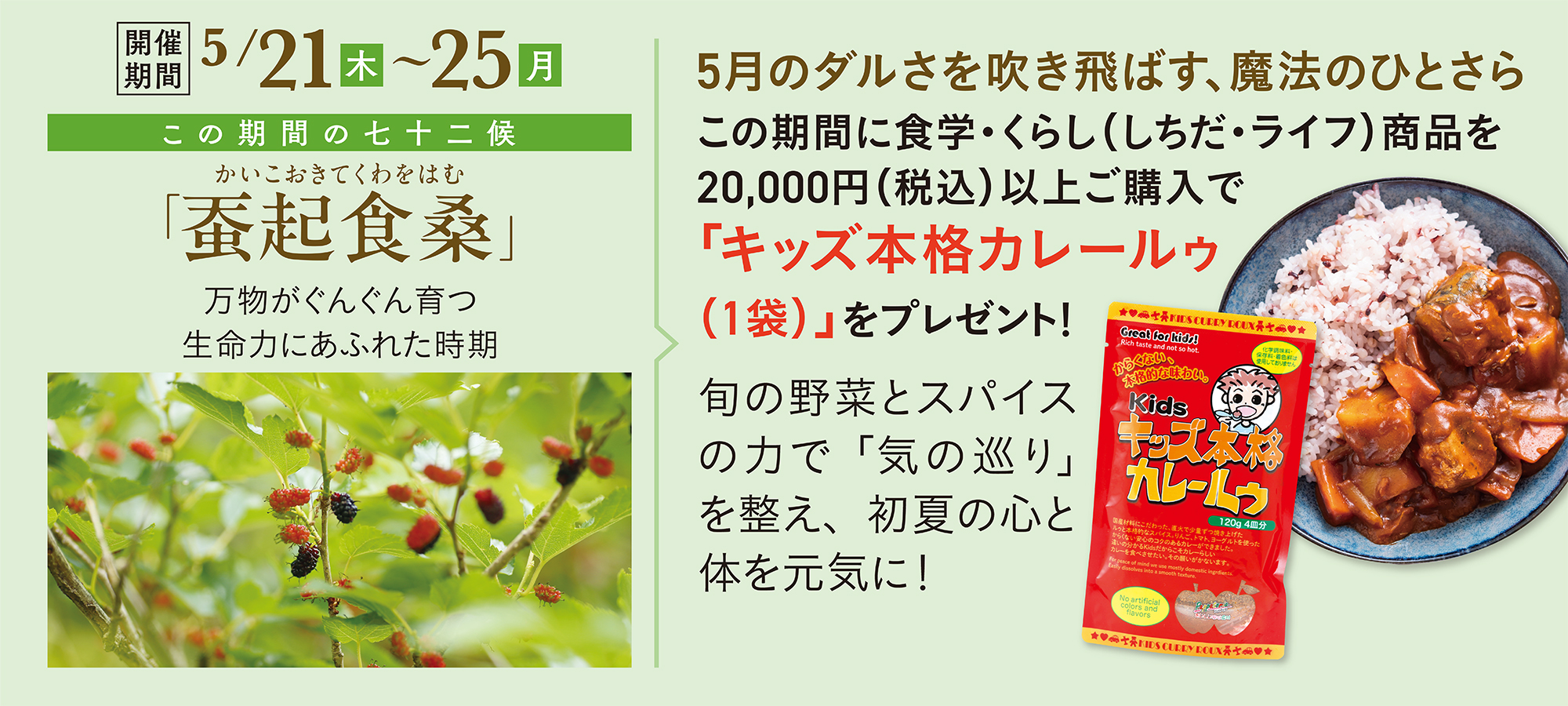 蚕起食桑