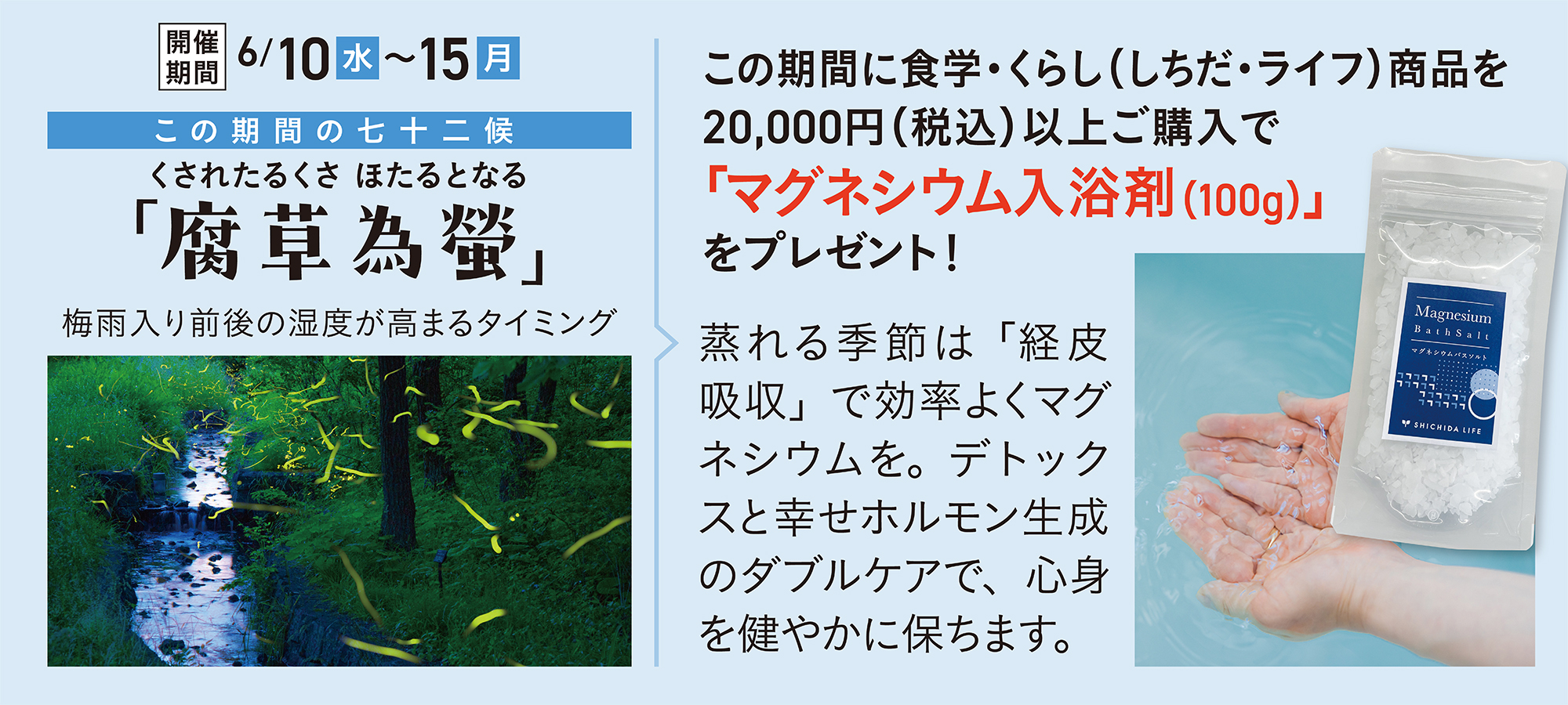 腐草為螢