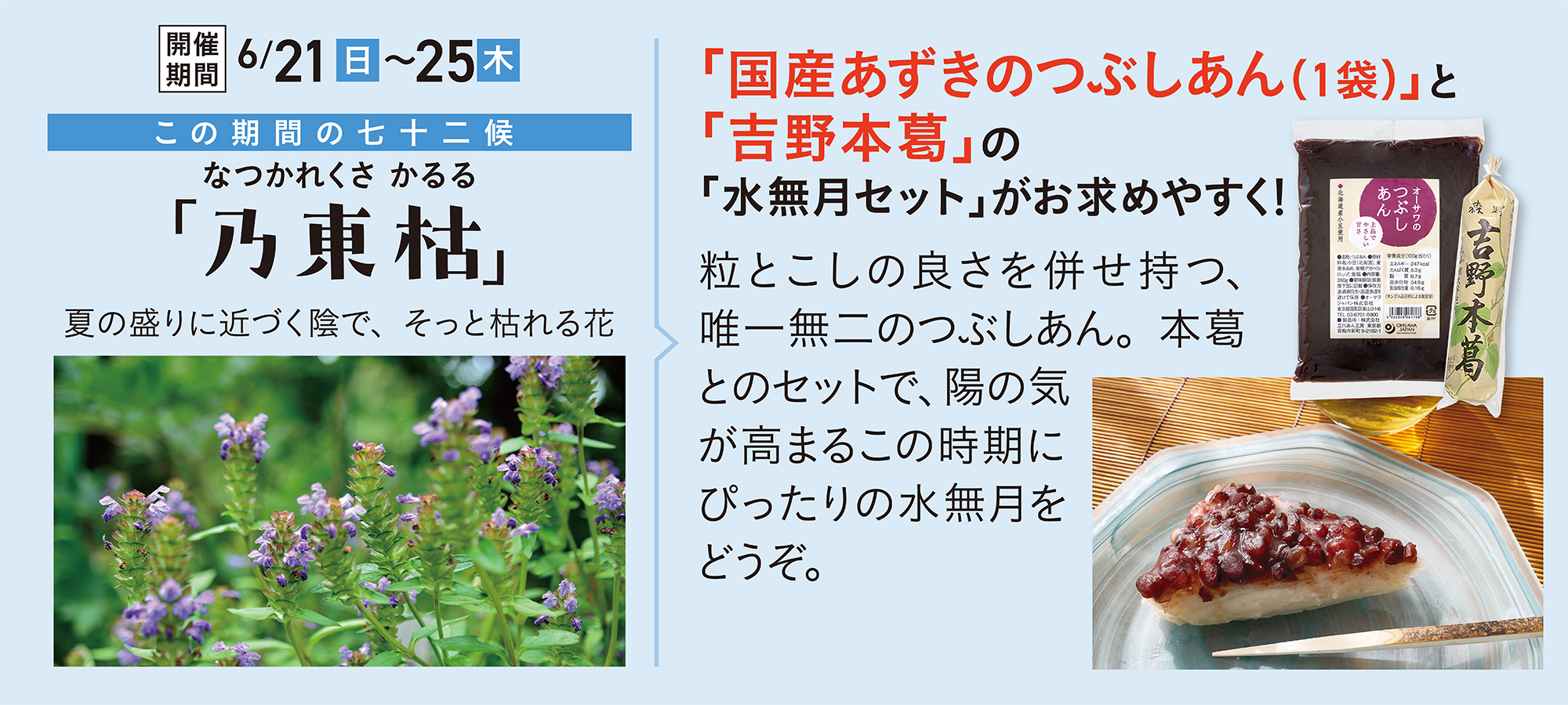 乃東枯