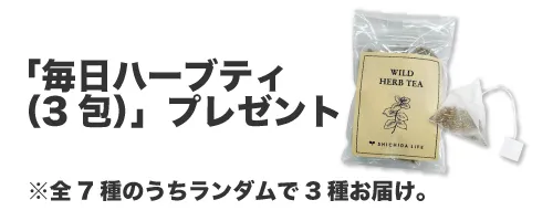 ハーブティープレゼント