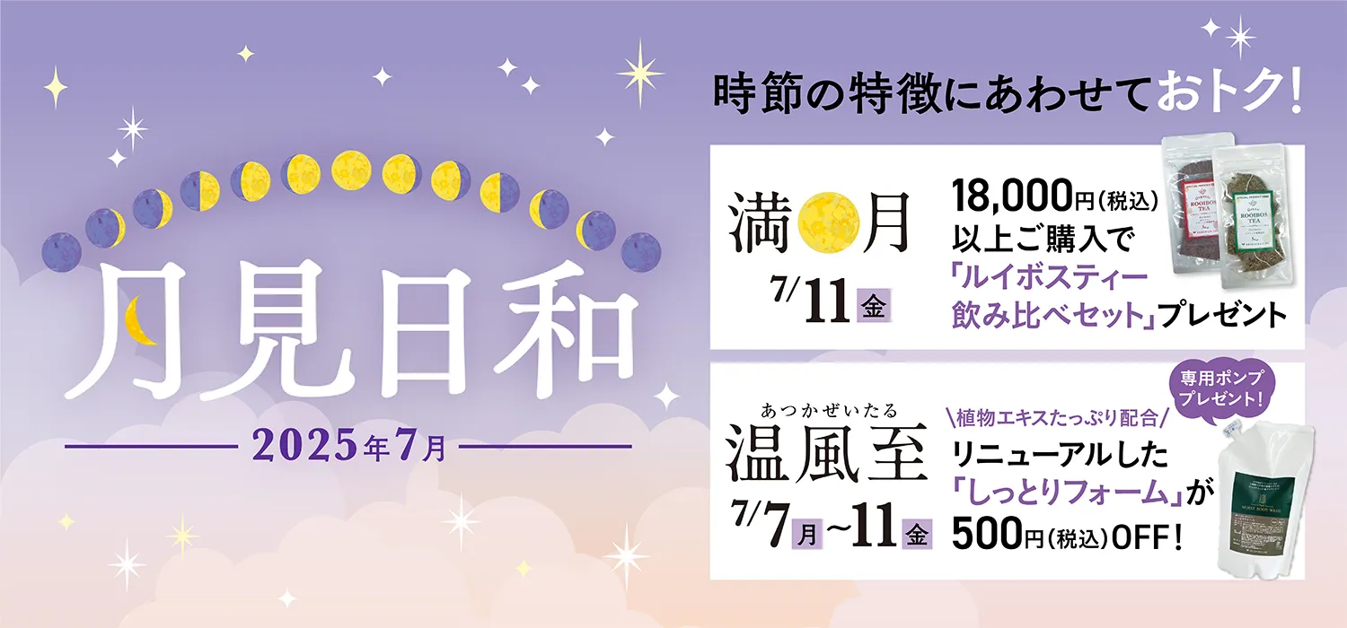 月見日和TOP