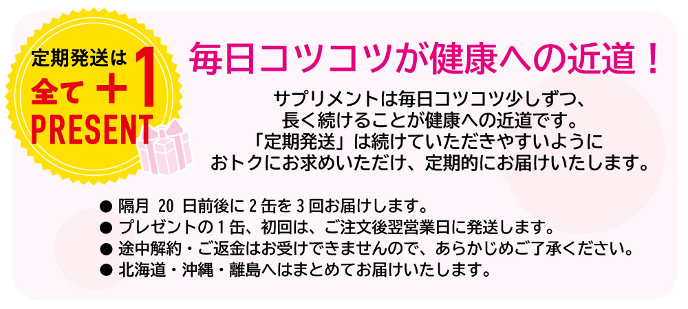 定期TOP