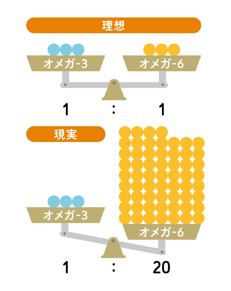 オメガ-3とオメガ-6の比率：理想1:1、現実1:20
