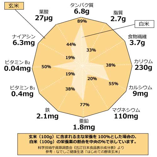 栄養価イラスト