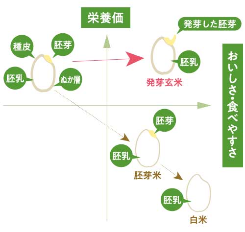 お米のおいしさ
