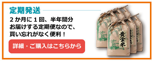 黄金米定期
