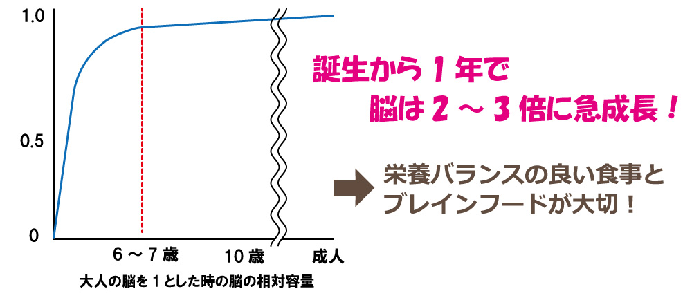 脳成長ill