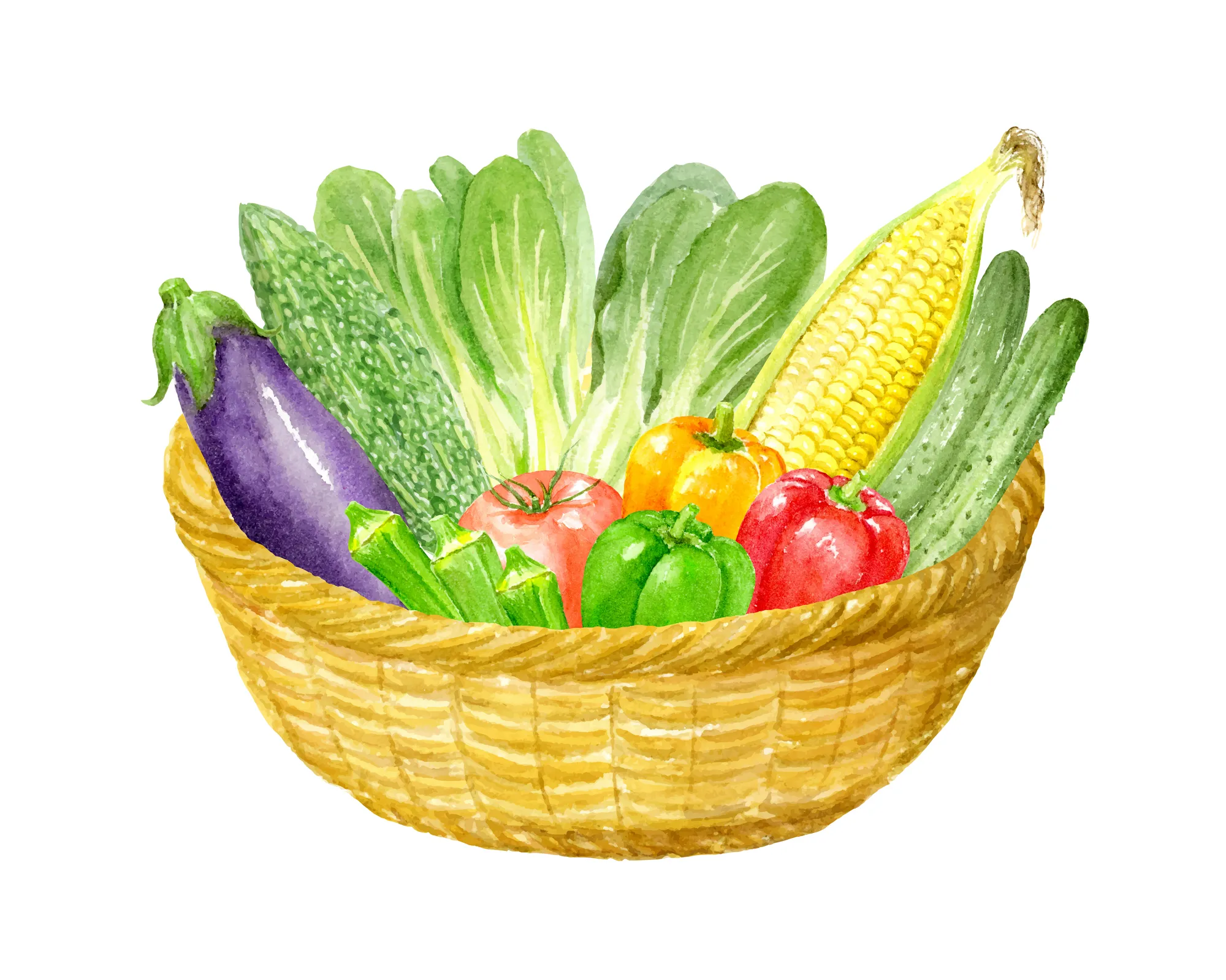 旬の春野菜