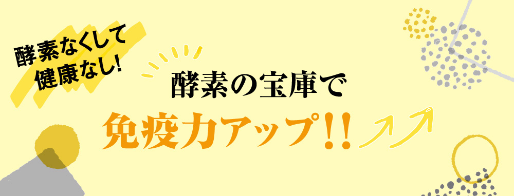 酵素トップ