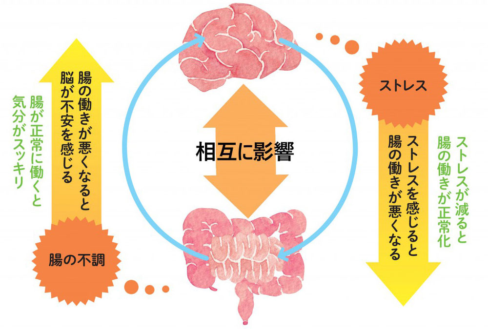 腸脳相関