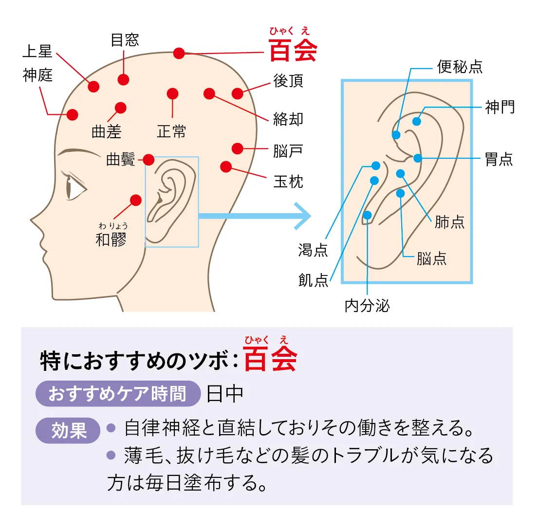 ツボ：百会