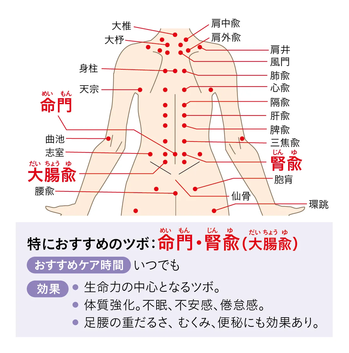 ツボ：命門・腎兪・大腸兪