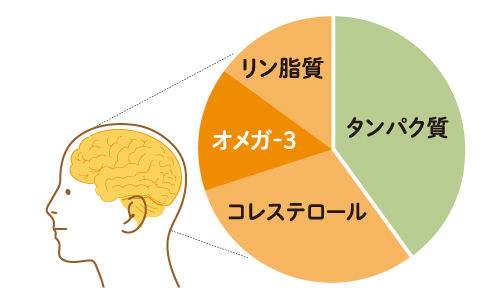 脳の60%がアブラ