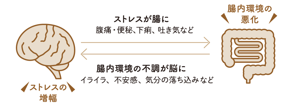 腸脳相関
