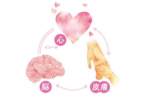 心と脳、皮膚はつながっている