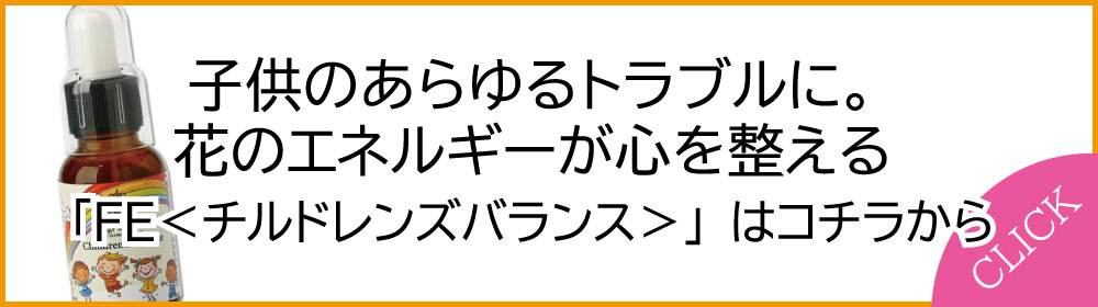 FEチルドレンズバランス
